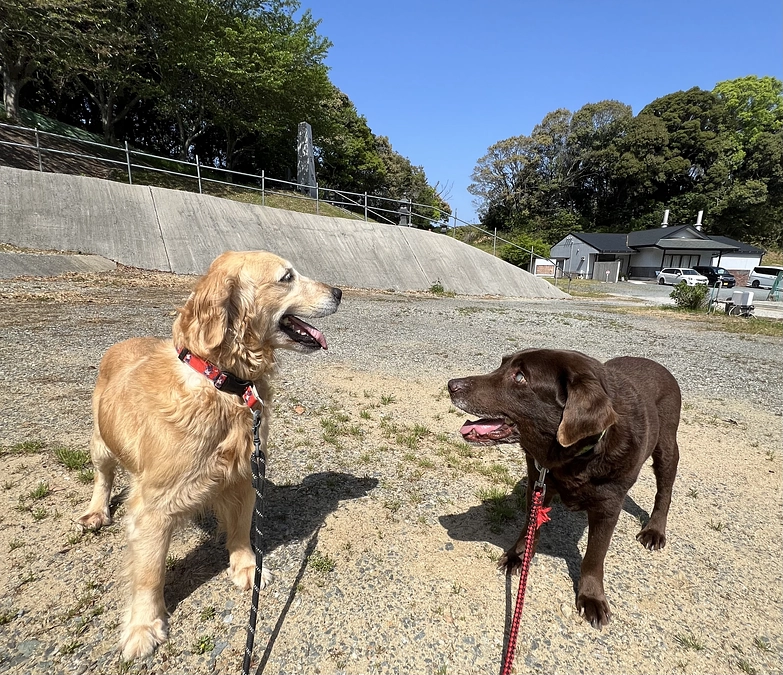 クラウドファンド第二弾準備中‼️