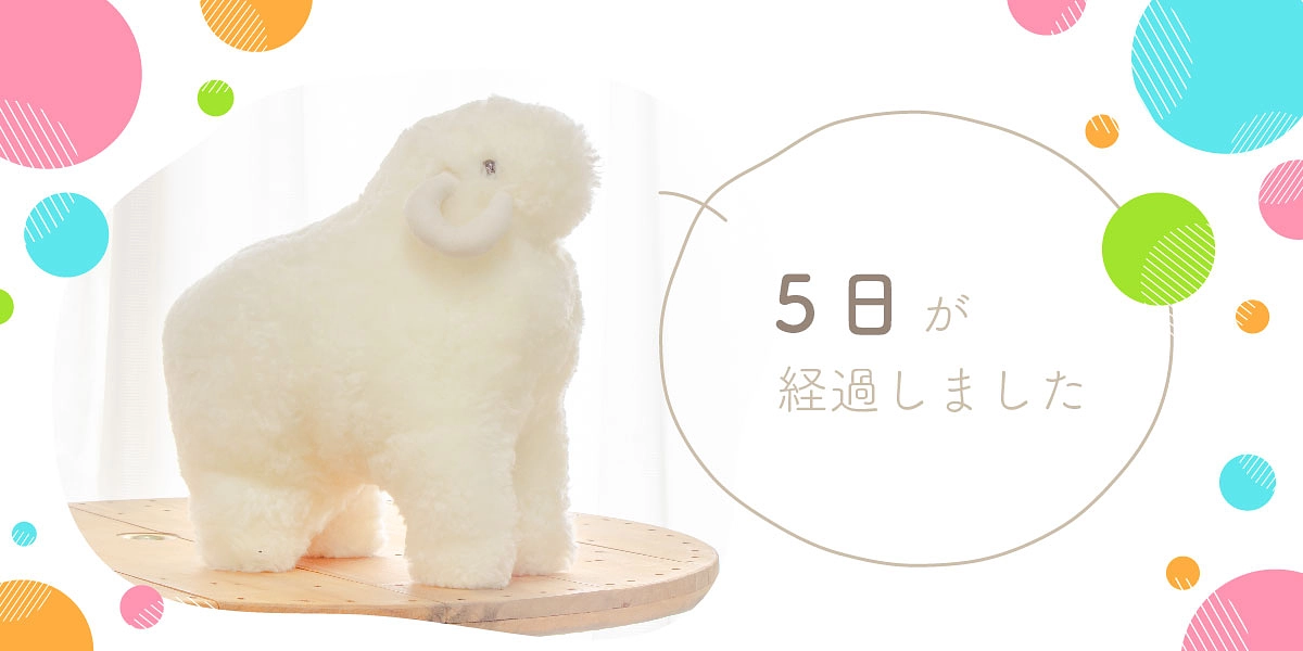 5日が経過しました！