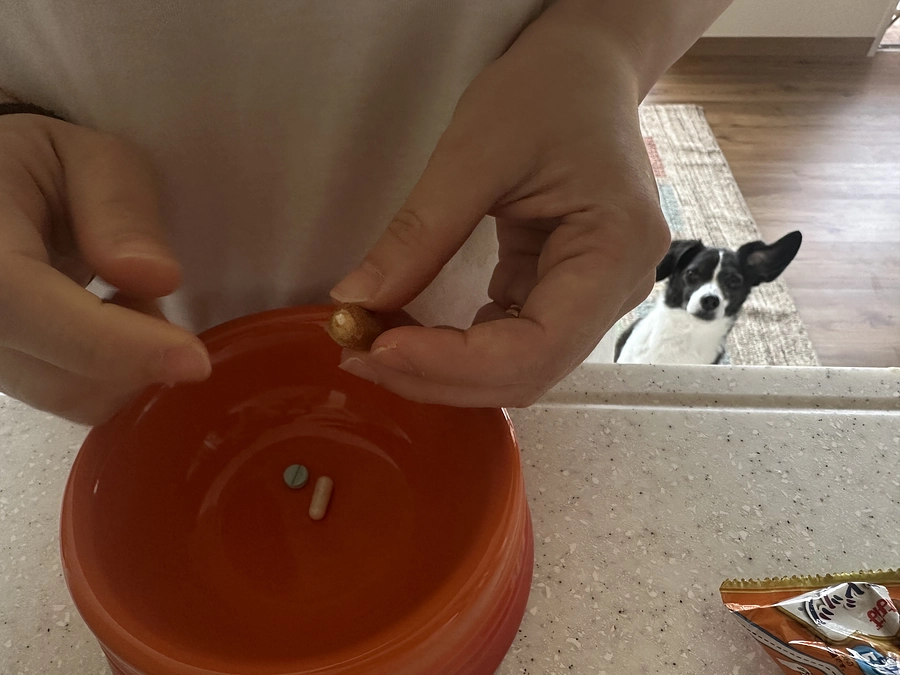 ニコちゃんに投薬