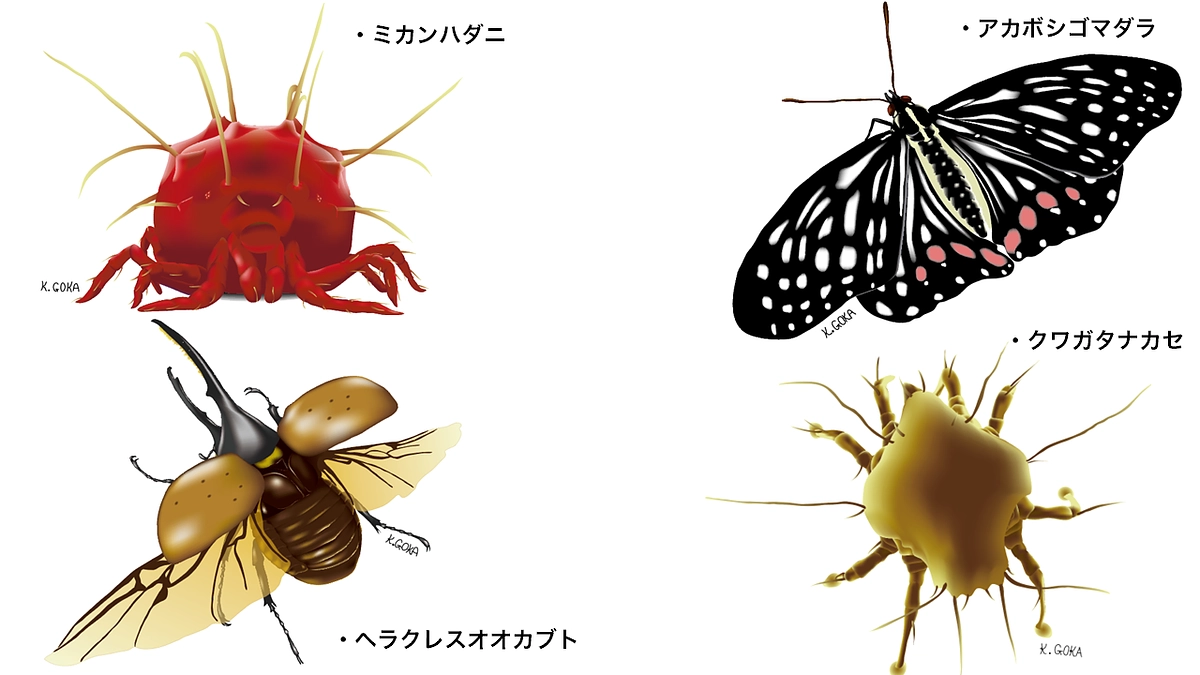 【返礼品追加２】国立環境研究所 五箇 公一 作画：あなたの「推し"蟲"」A1ビッグパネル