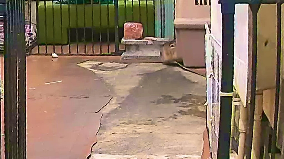 Today I was got out from the hospital 