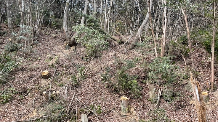 広島県廿日市市に会員制ソロキャンプ専用キャンプ場を作る。