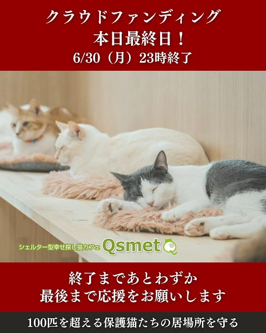 皆さんの思いに恥じぬようこれからも自分に出来ることを精一杯頑張ります。