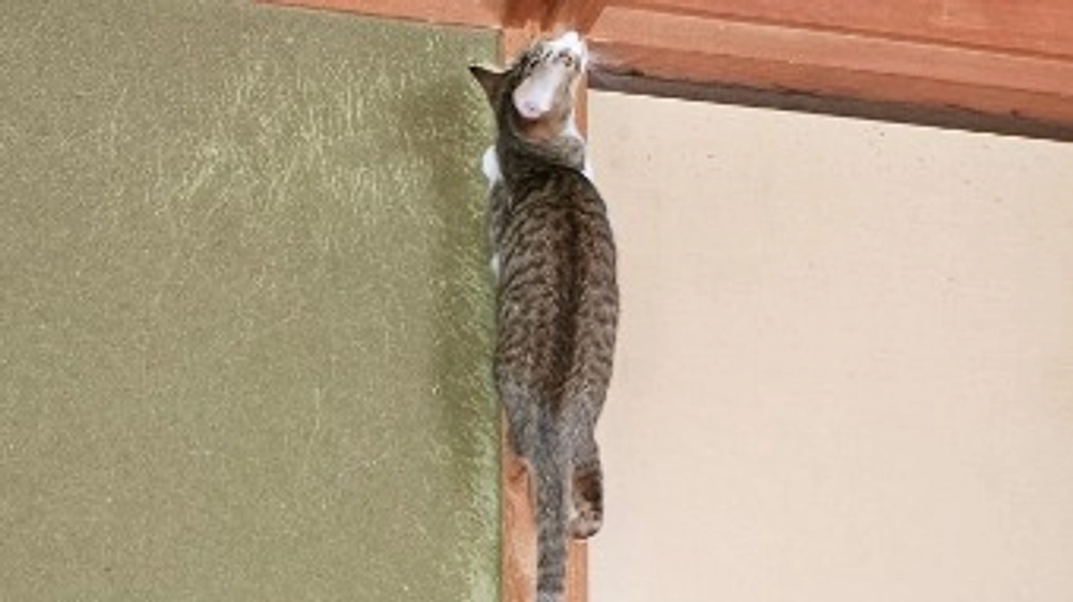 犯人に告ぐ、あなたは包囲されている