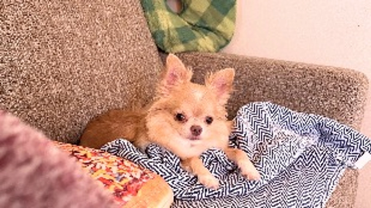 昨日は咳が酷かったですが