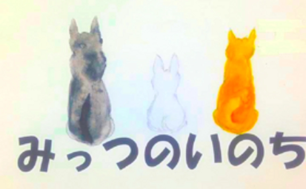 絵本「みっつのいのち」を3冊お届け