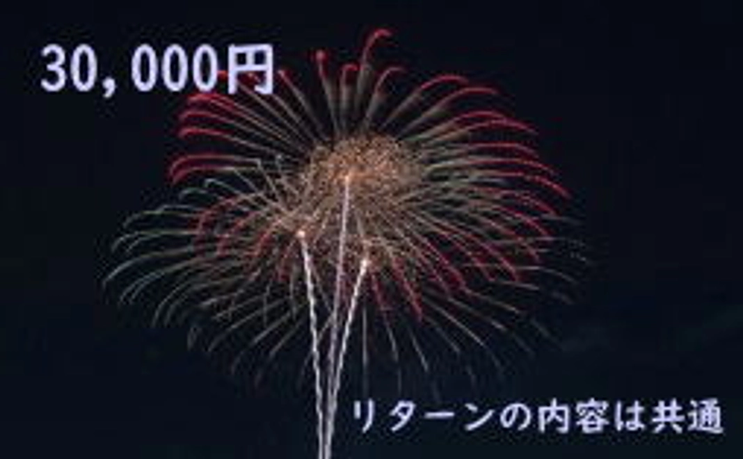 30,000円+システム利用料（220円）