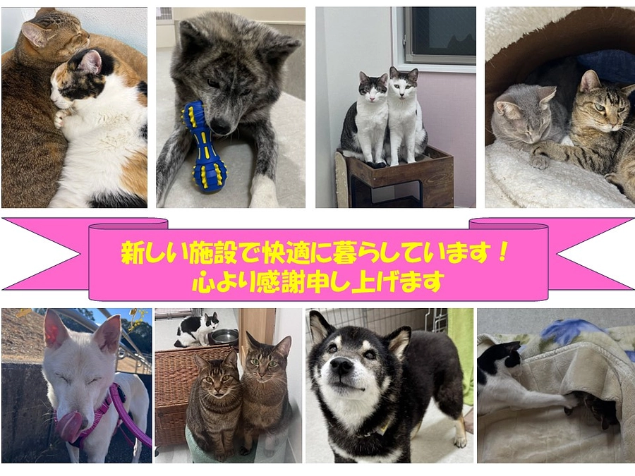 皆様のおかげで無事に新年度を迎えました！！