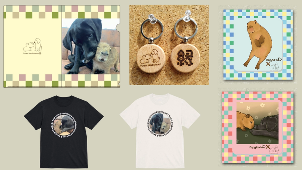 【リターン商品の拡大写真】グッズリターンの画像をしっかりと見たい方へ！