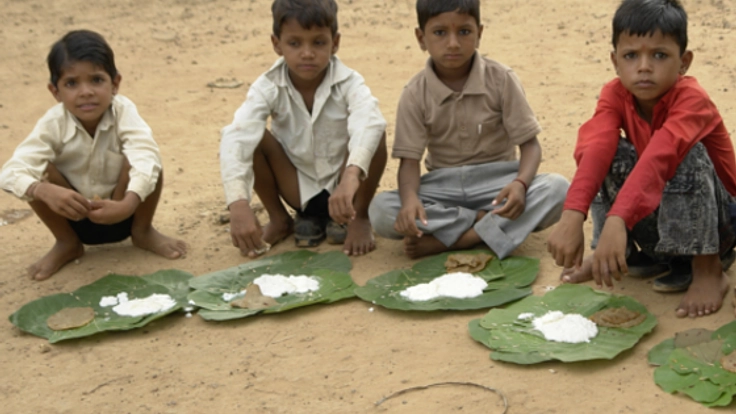 インドの農村部の栄養失調改善のためにモリンガを栽培したい！