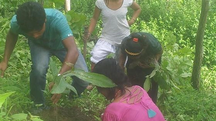 ネパールの貴重な自然、ハチミツが採れるチウリの樹を守りたい！