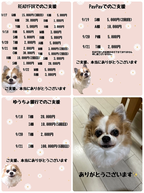 9月17日から9月22日までのご支援