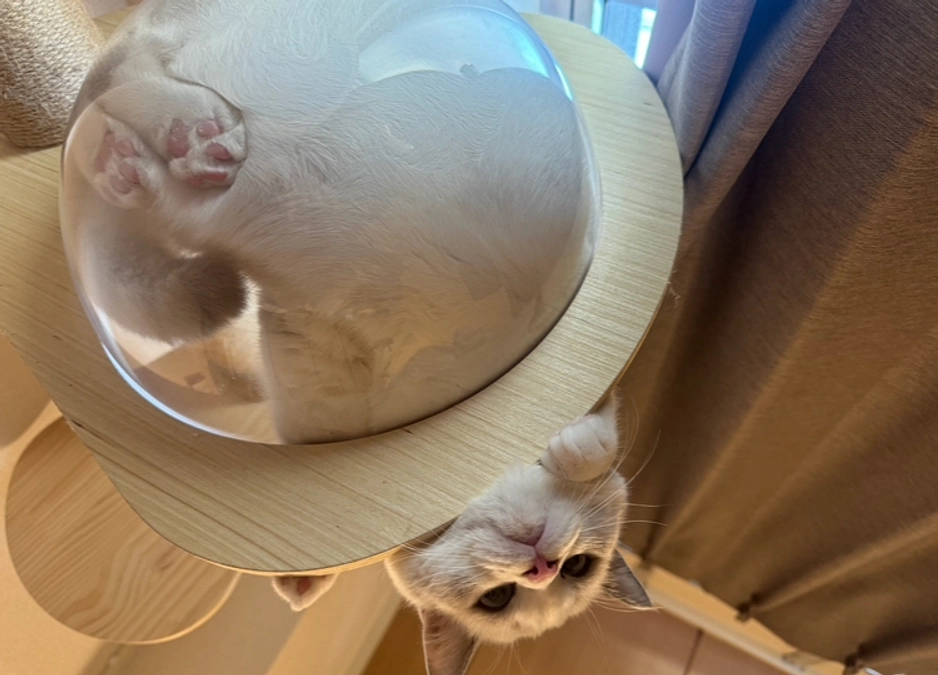 残り３日！き巳頑張ってます