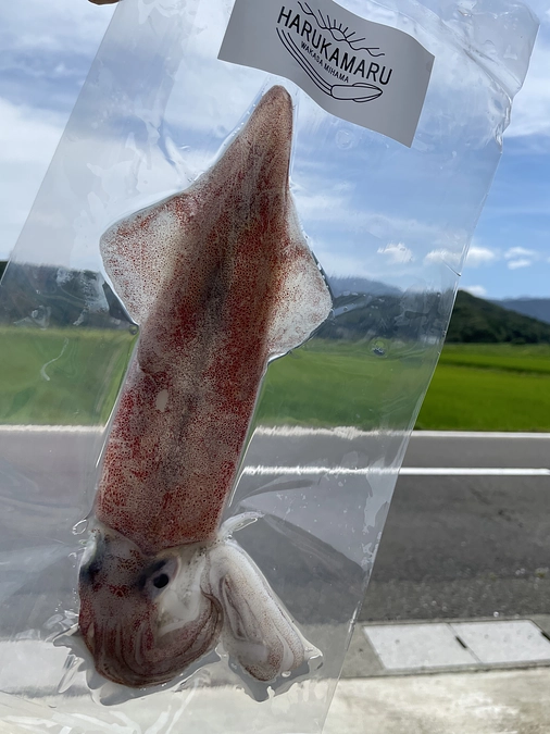 応援ありがとうございます！