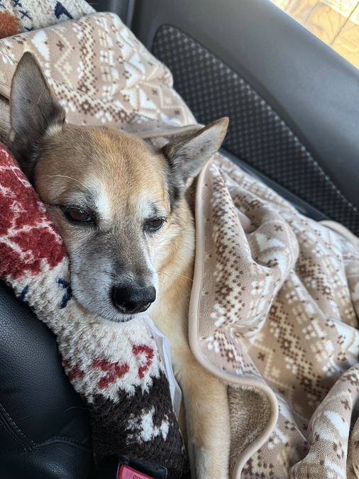 12/17  ☢️放射線治療12回目☢️