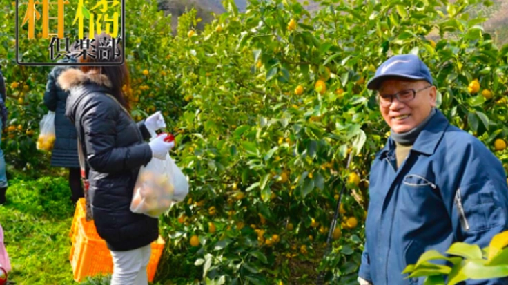 島中がレモン色に輝く日よ再び。広島に眠る耕作放棄地を再生へ!