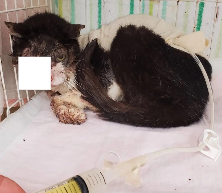 応援・ご支援本当にありがとうございました！！