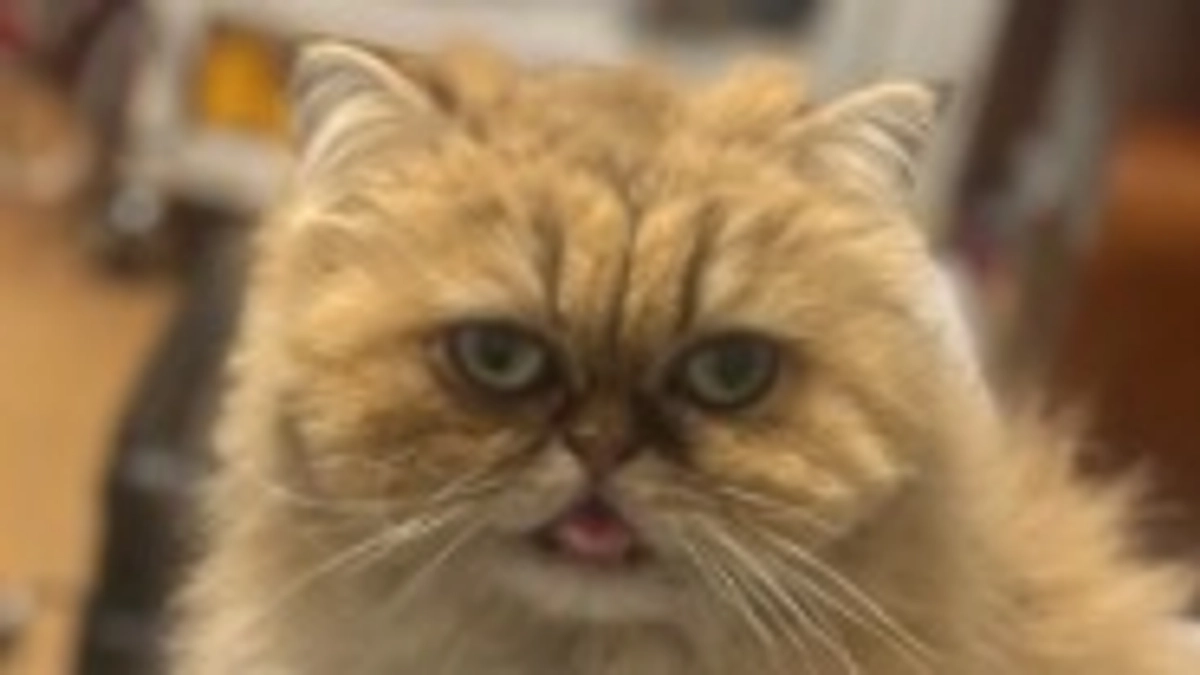 プロジェクト無事達成！！