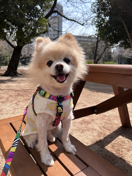 39/59 ☆ 遅起き禁止！