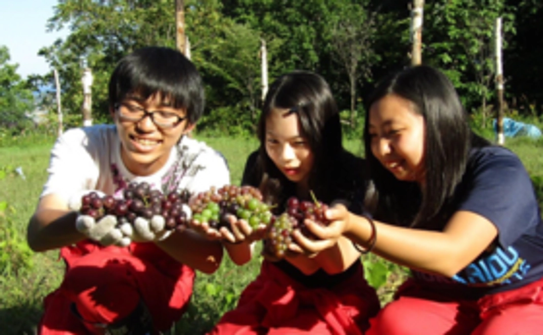 【完成したワイン】北照ワイン（旅路）プロジェクト初リリースのワインコース