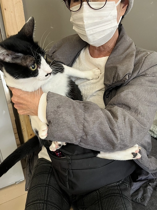 トライアルに出ていた競馬場のお嬢