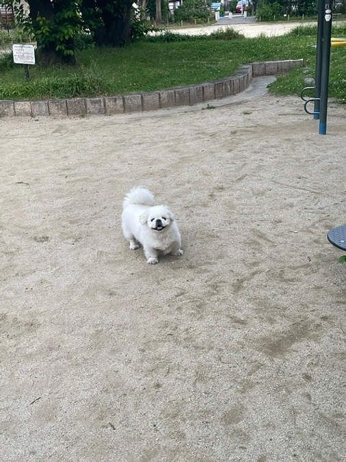 【公開10日日】本日のコタ