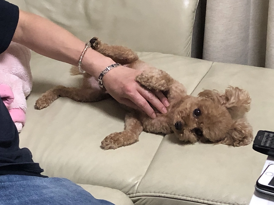 パパへの甘え方