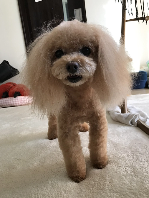 感謝感謝の日々です😭