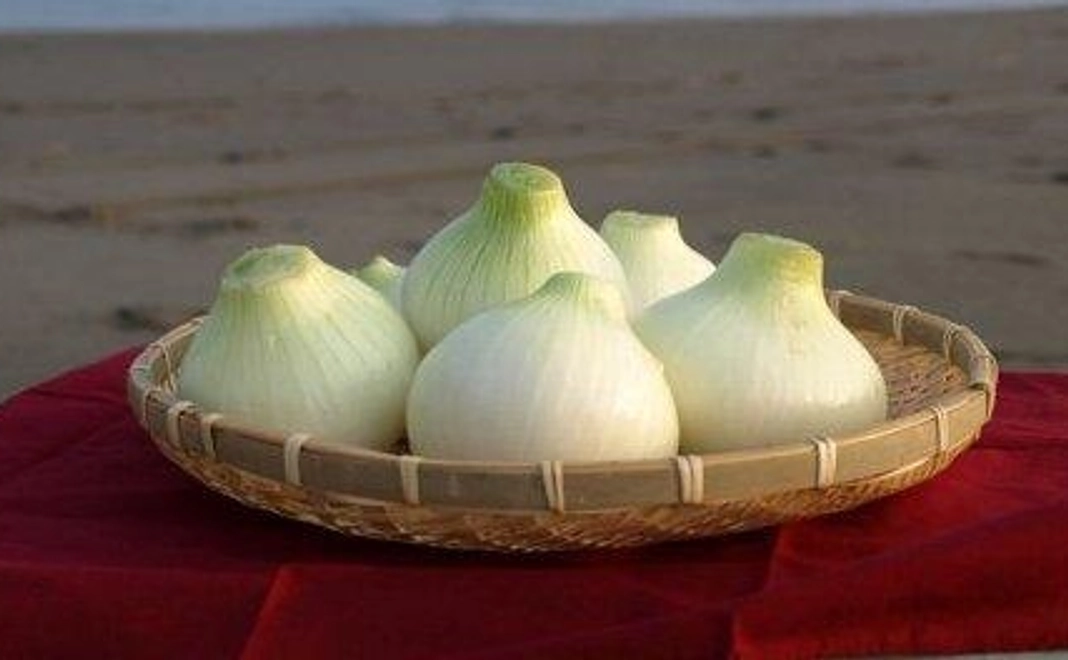 【10,000円】応援コース