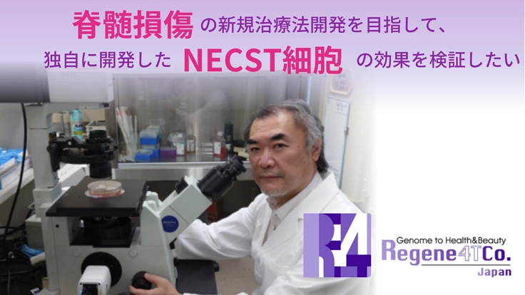 ハイパー幹細胞の臨床前実証研究を進め、脊髄損傷患者さんに希望の光を