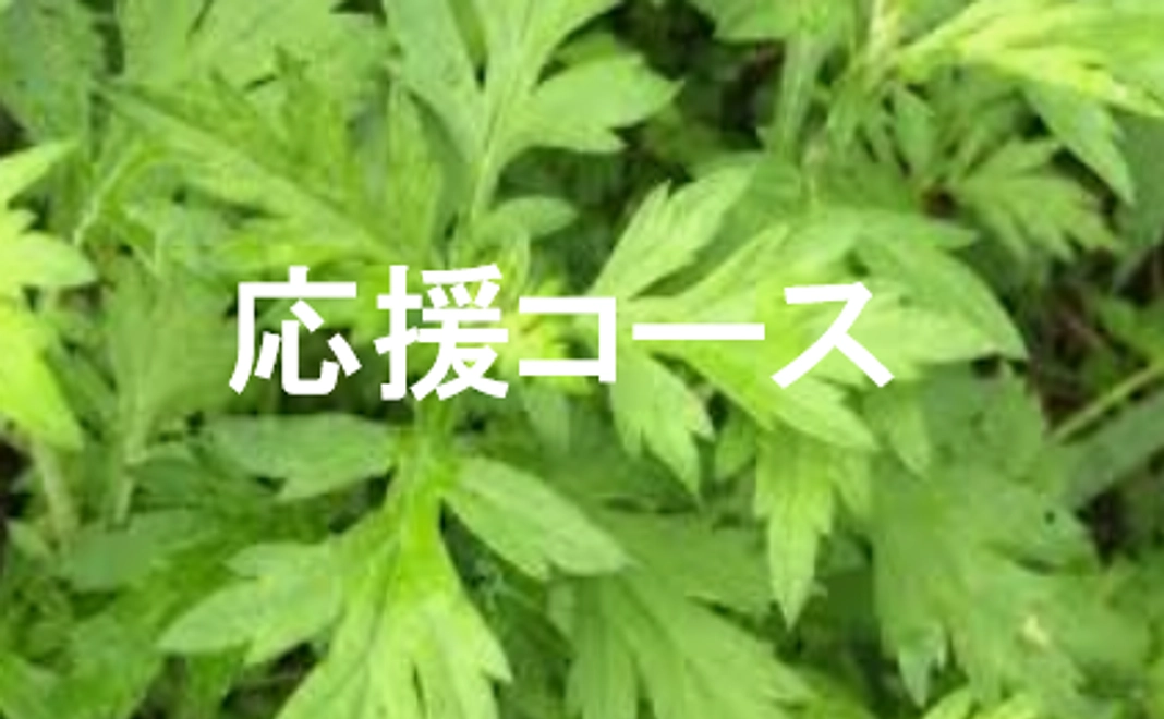 応援支援/3000円