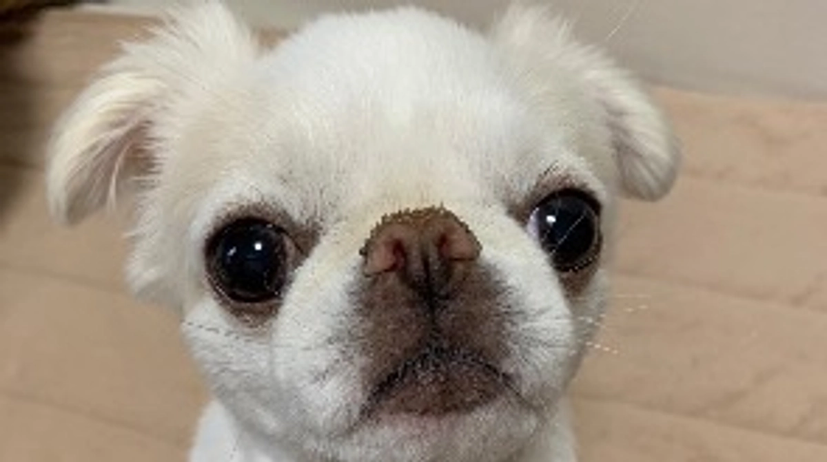 いつも皆様あたたかい応援ありがとうございます✊‼️