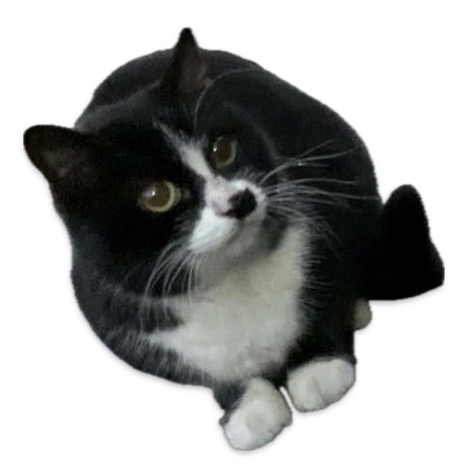 明けましておめでとうございます