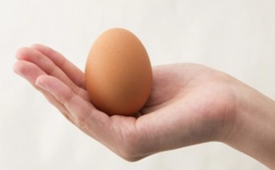 健康セミナー参加チケット1人分