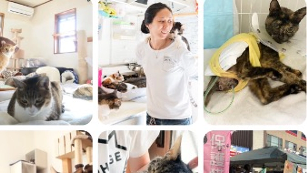 本日最終日となりました！！２３時まで