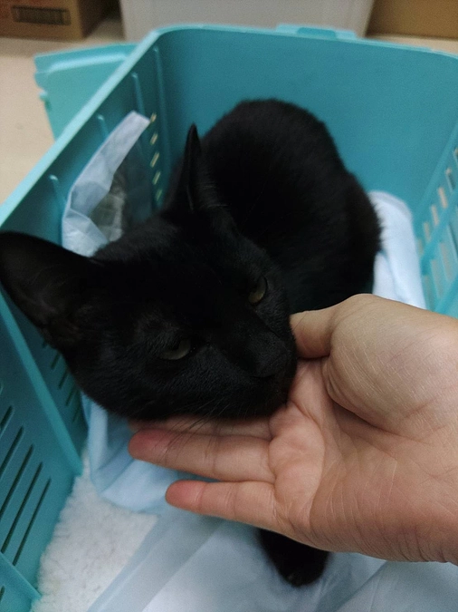 ご支援、ご協力いただきました皆さまへ