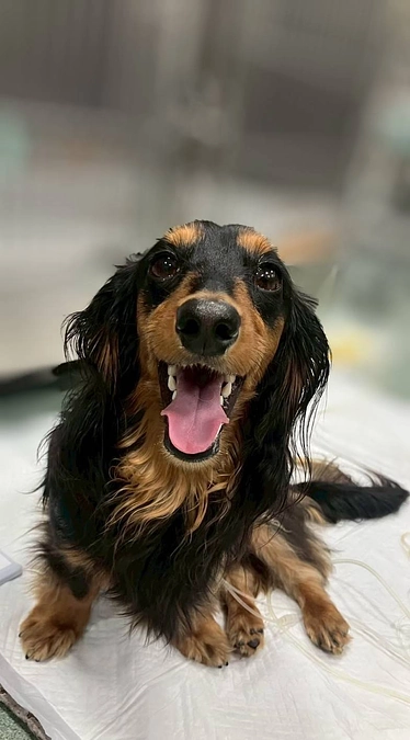 闘病記録【手術の日】