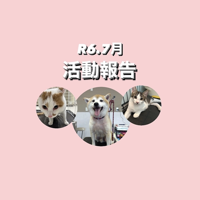 R ６.７月活動報告