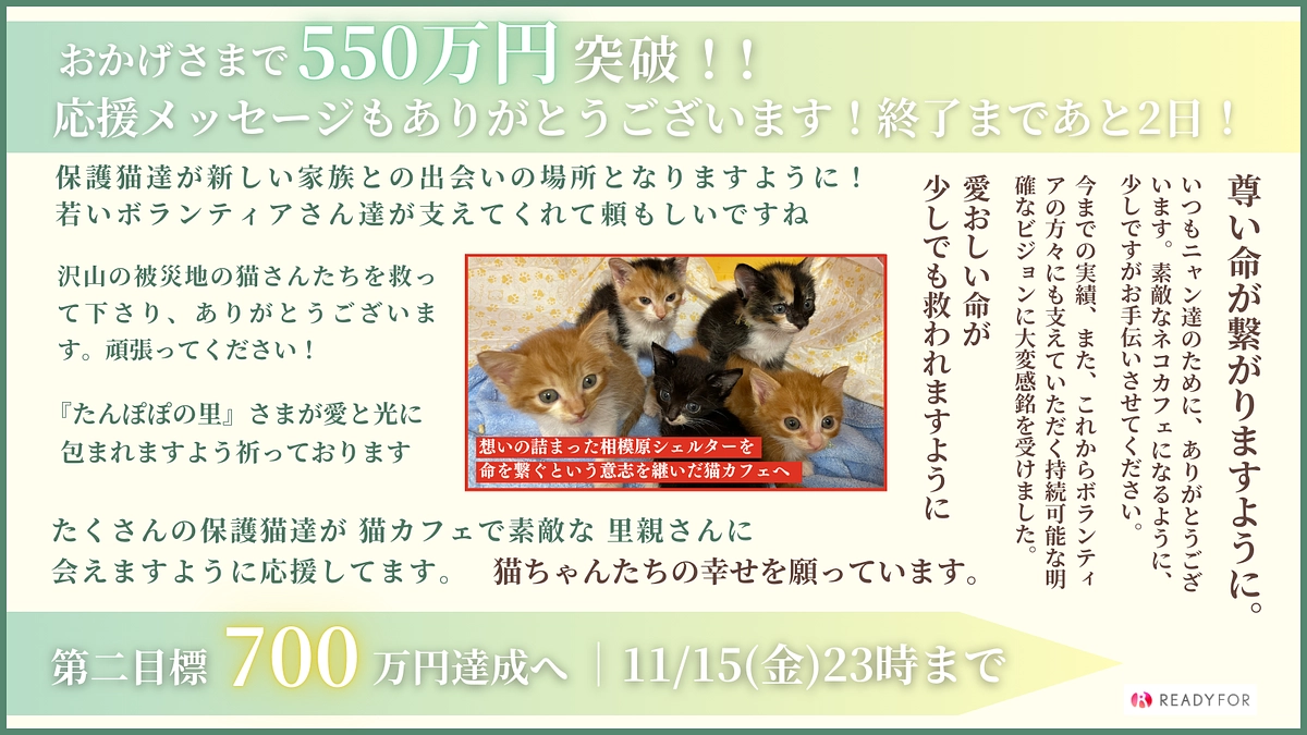 残り1日をもう直ぐ切ります。お力をどうかお貸しください