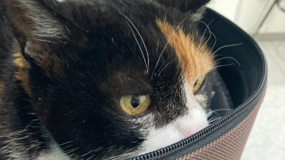 ■活動報告_6：経過良好、一安心。