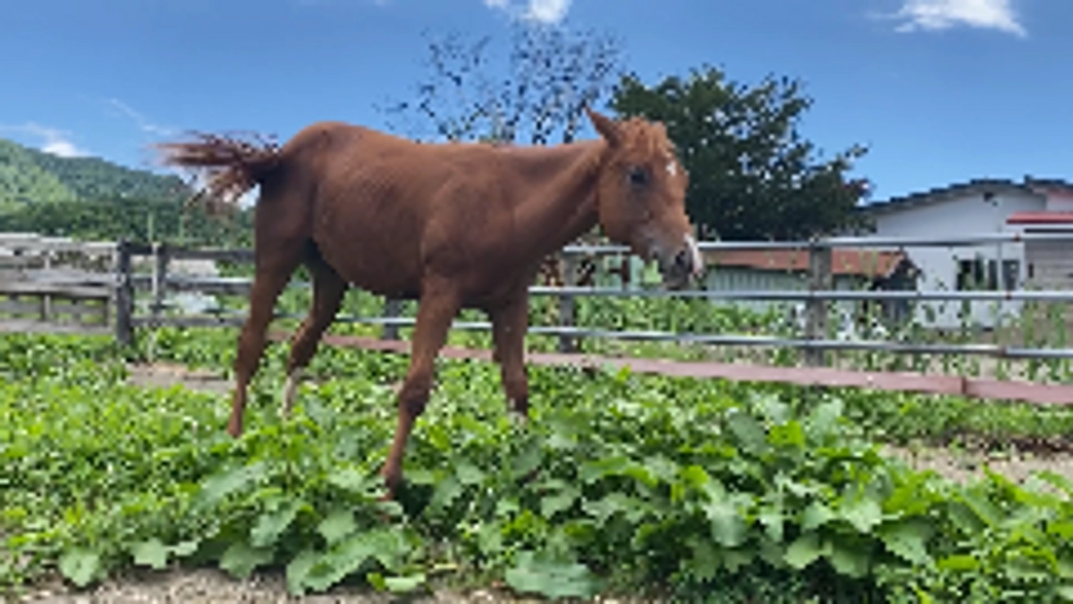 残り21日となりました。