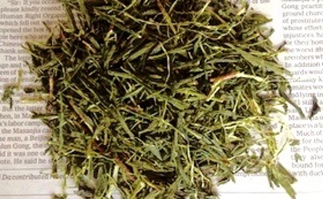 無農薬の「ウチのお茶」