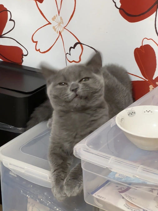 9月22日の経過報告