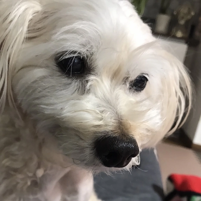 緊急再入院5日目