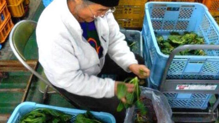 新しい蒟蒻づくりを通して障がい者の働く場を増やしたい！