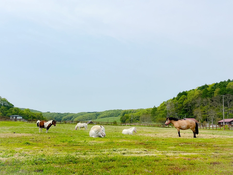 移転のご報告①
