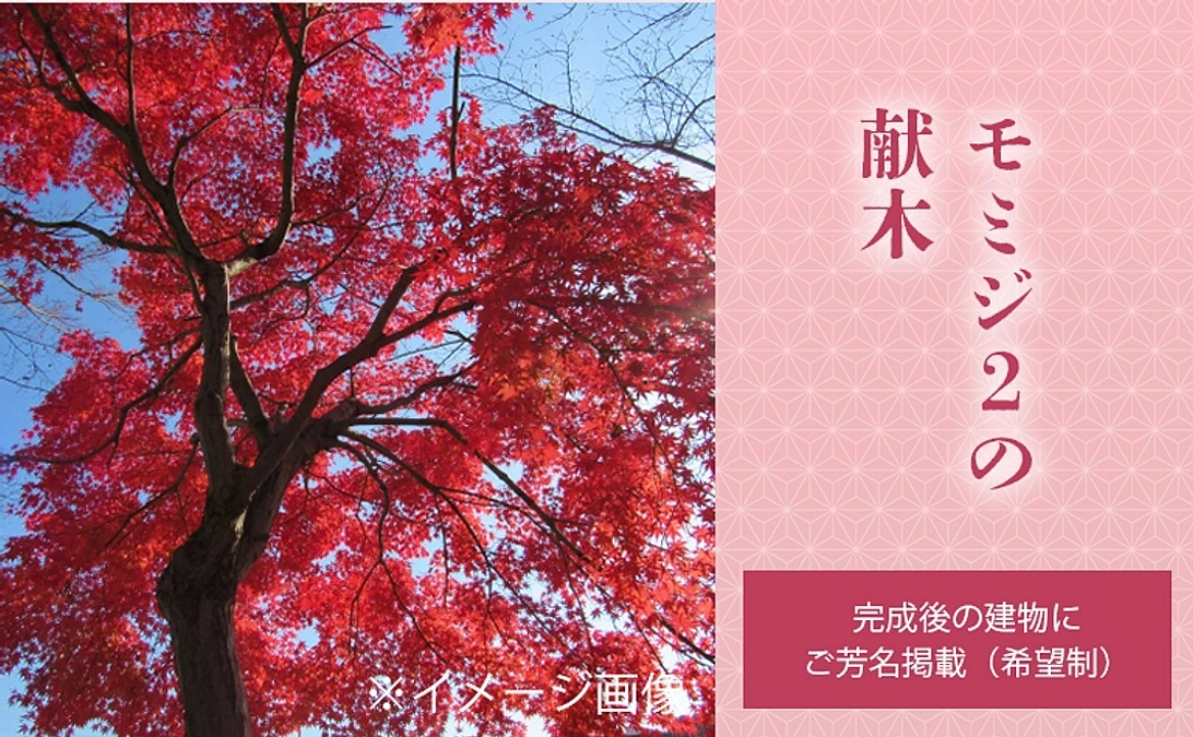 献木コース　～モミジ～　を追加しました