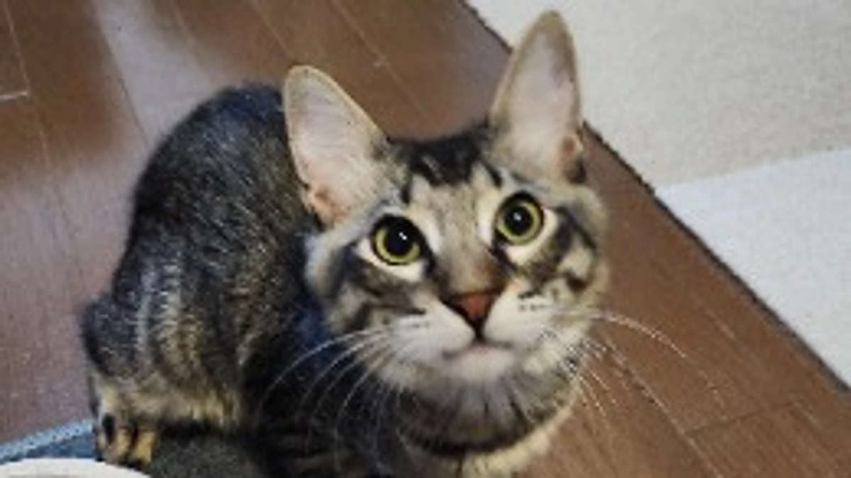 プロジェクト達成しました！！