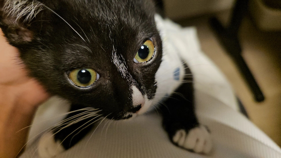 プロジェクト達成率82％！ありがとうございます。