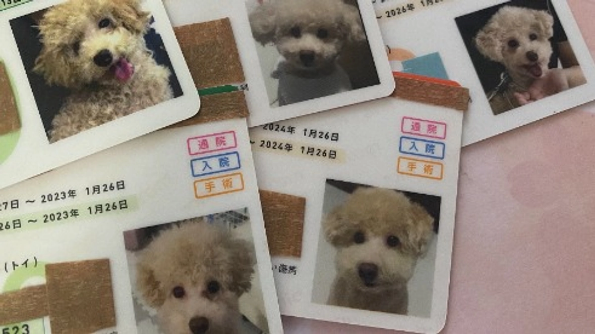 【残り10日】ラフの保険「心疾患対象外」について